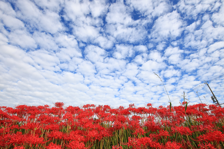 秋空